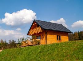 Domki w Bartnicy - Góry Sowie, villa en Ludwikowice Kłodzkie