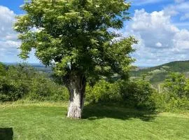 Casale IL SAMBUCO sui colli bolognesi