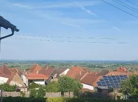 Traumblick Südpfalz