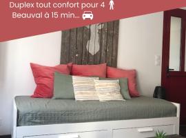 Duplex/Beauval & Châteaux, hotel in Selles-sur-Cher
