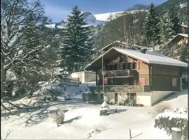 Bussalp, hotel v destinaci Grindelwald