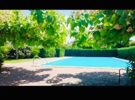 Maison piscine Bassin Arcachon