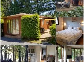 Reewold Veluwe