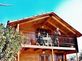 Olive Grove Chalet