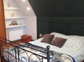 Apartament u Dany Las wita Was w otoczeniu gór i dzikiej przyrody