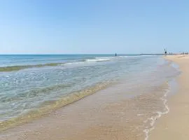 Maison Marseillan-Plage, 4 pièces, 6 personnes - FR-1-387-196