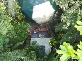 Momotus Glamping