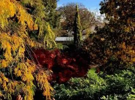 Comfy fully contained 2 bedroom home