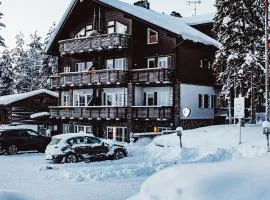 Levin Alppitalot Alpine Chalets