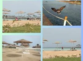 Scandic Resort: Comfy & Cozy. A433
