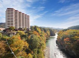 Hotel Sunshine Kinugawa, ryokan a Nikko