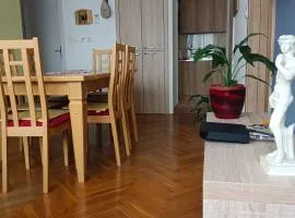 Dena apartman Tivat