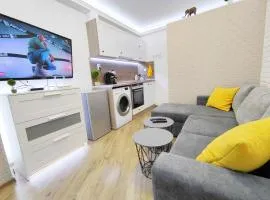 Ally's Place studio