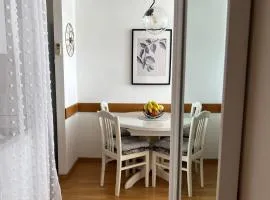 City center apartment Twiggy