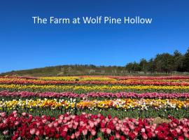 Luxury Farm Stay at The Lodge at Wolf Pine Hollow、Hancockのヴィラ