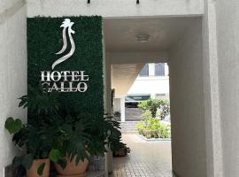 Hotel Gallo, hotel en Centro, Guadalajara