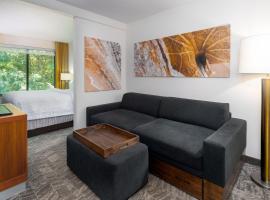 Viesnīca SpringHill Suites Asheville pilsētā Ešvila