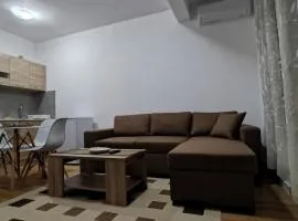 Dabovic Apartment