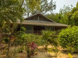 Tropical Breeze in Palmetto Bay