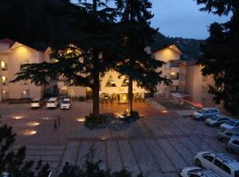 Hotel Arif Castle, Nainital, Hotel in Nainital