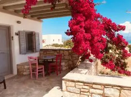 Spiti su in Paros - Dryos