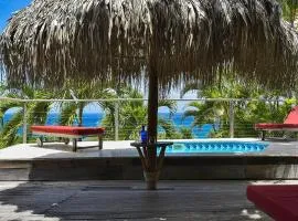 Vue Turquoise Parasol