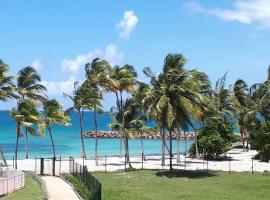 Blue Paradise Studio avec acces privatif plage