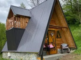 Eco kutak 2