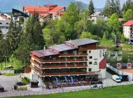 Cabana Fulg De Nea Predeal