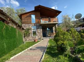 Buo's guest house, hostal o pensión en Borjomi