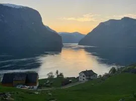 Aurland Stegastein Apartment