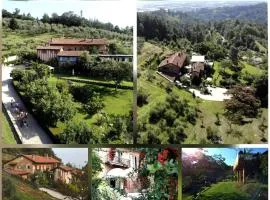 Segnavento -Rooms and Suites-