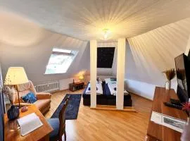 Ferienwohnung Luna -3 Schlafzimmer, Waschmaschine, Küche, WLAN, ca 15 Min bis zum Europa Park,