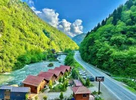 TUVA VİLLA Bungalov、Çamlıhemşinのシャレー