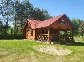 Duży domek przy lesie