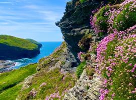 Polrunny Farm Blackberry Cottage - Cornwall bliss in sight of the sea, cottage in Boscastle