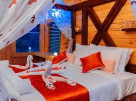 DSR Wooden Cottages, hotel di Hyderabad