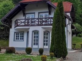 Casa Bănucu, отель в городе Satu Mare