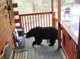 Three Bears Cabin - Hottub Arcades Btwn PigeonForge Gatlinburg Great Smoky Mountains National Park