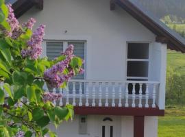 Vlasic holiday home, Hotel in Vlašić