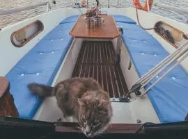 Lady Blue Yacht in Nida