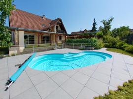 Villa Centre Alsace，位于塞莱斯塔的酒店