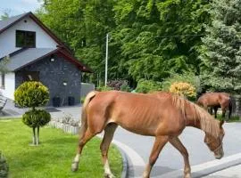 Agroturystyka ‚U Misia’