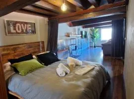 LOFT LA CATEDRAL DE CASA BOTES