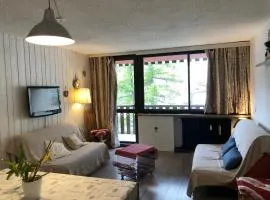 Studio Lumineux à 250m des Pistes, Parking Privé, Balcon et Équipements Complets - FR-1-165A-134