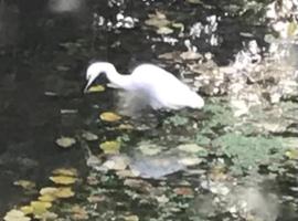 Réveil aux chants des oiseaux, ξενοδοχείο σε Assé-le-Riboul