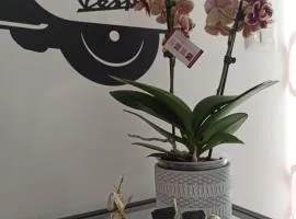 B&B In Sella