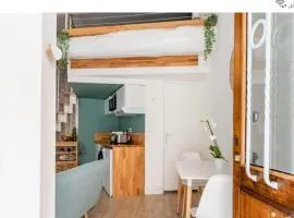 Studio cosy Lyon quai de Saône, centre ville