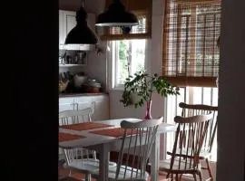 El Abedul-A-Departamento entero en pleno centro