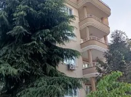 Clove Boutique House Apart